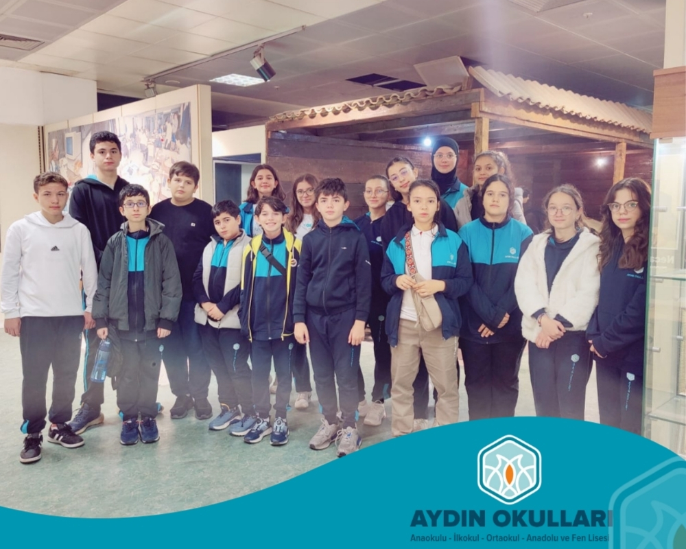 Aydın Okulları
