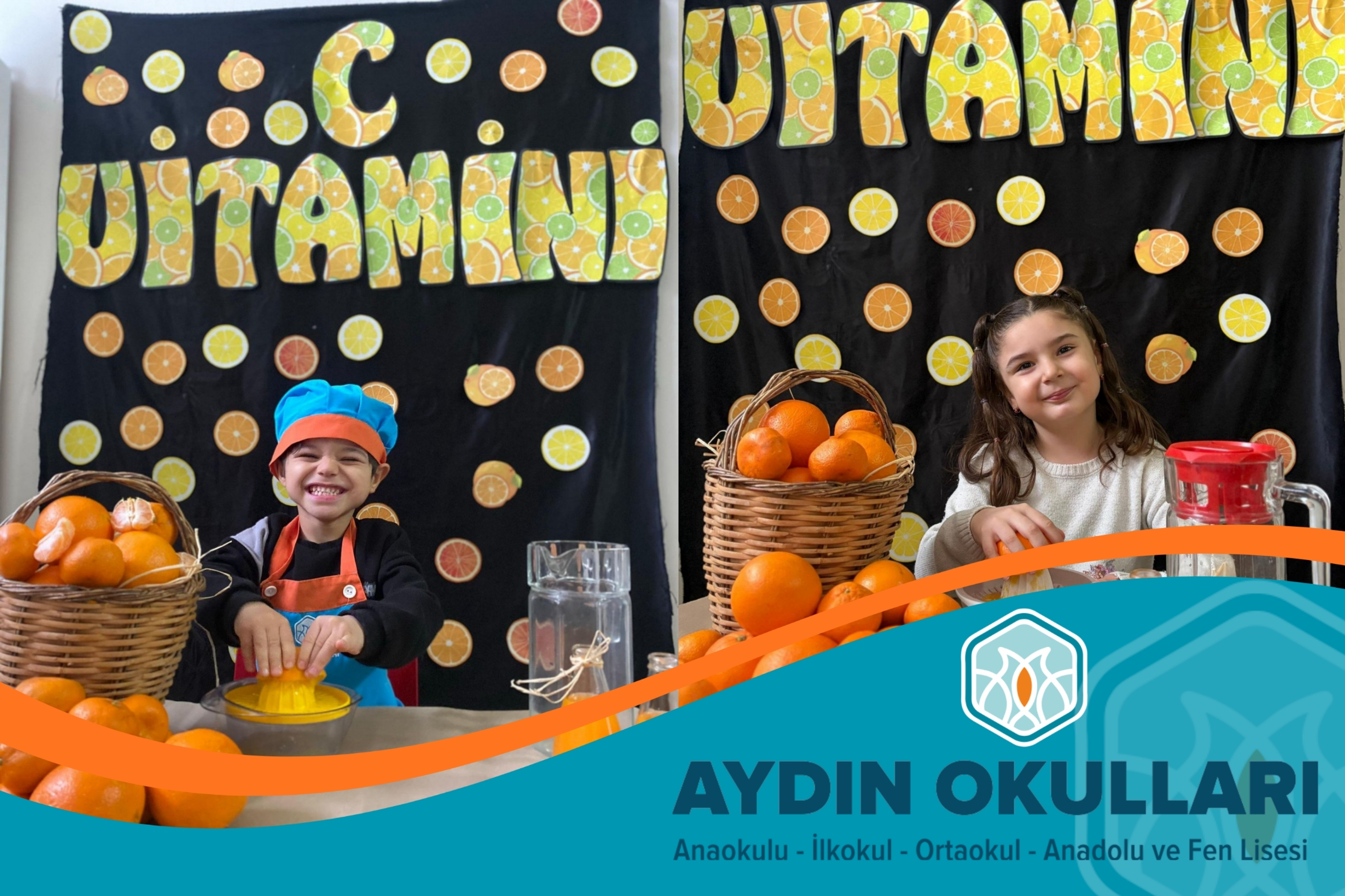 Aydın Okulları