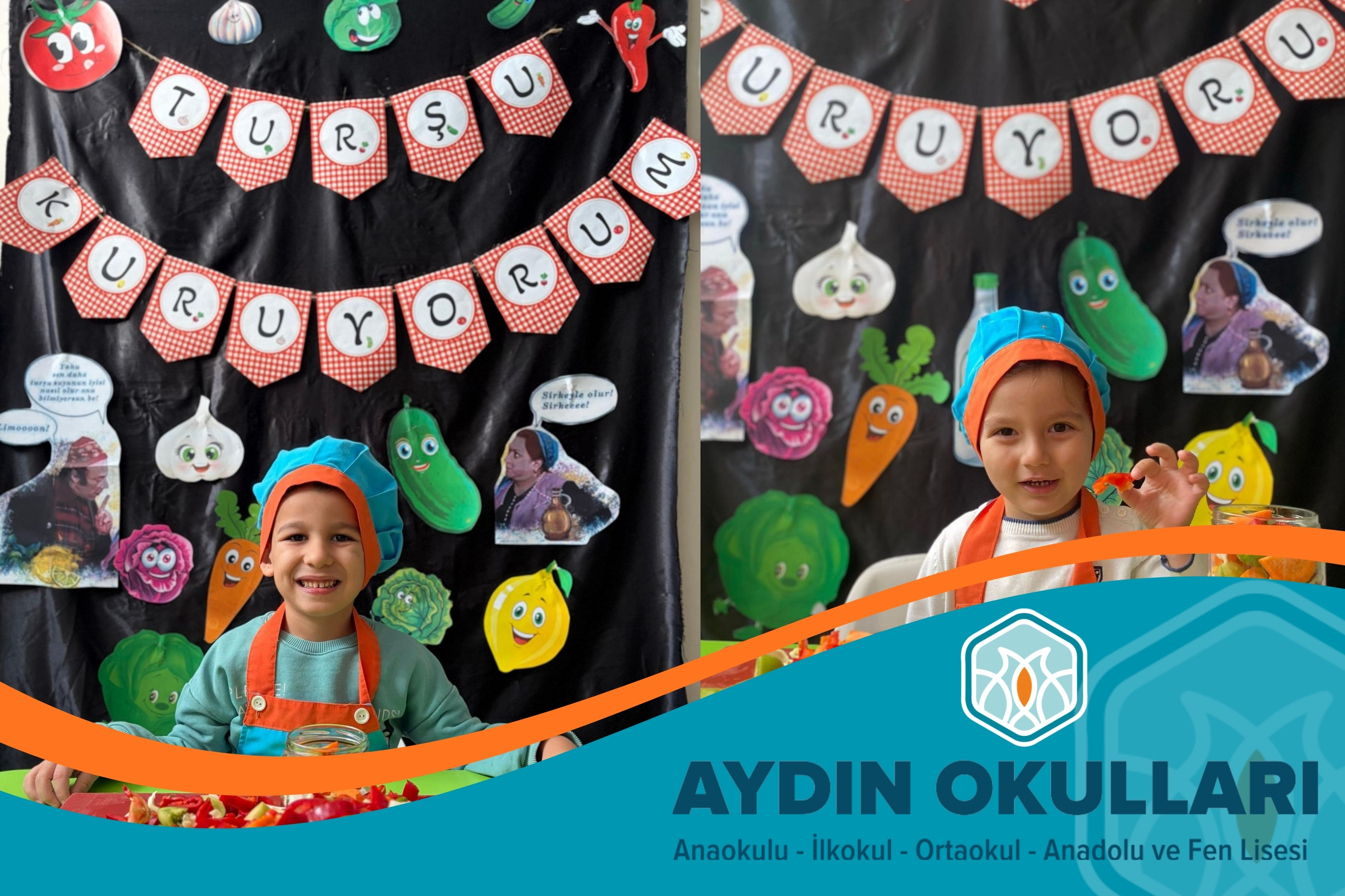 Aydın Okulları