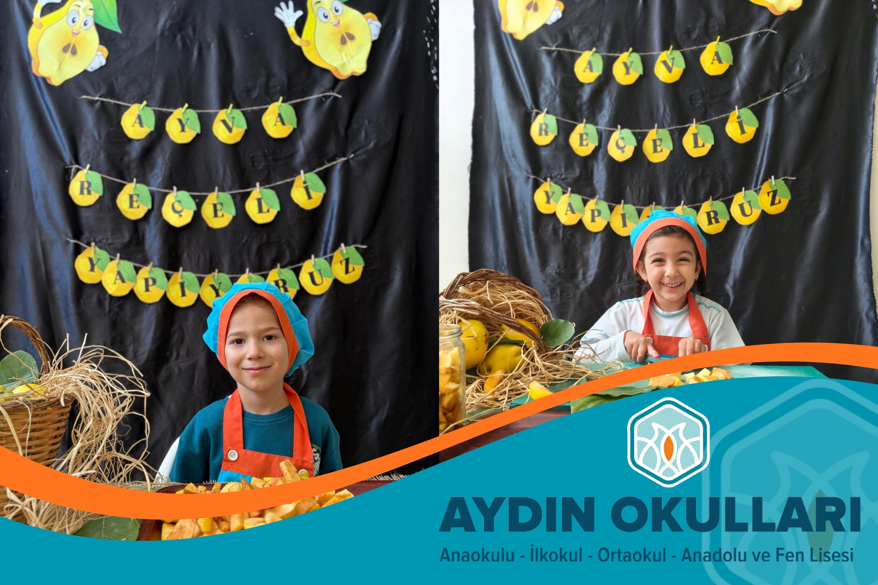 Aydın Okulları